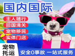 肥东白龙机场邮寄国际宠物托运 【国